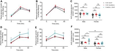 Parental sex-dependent effects of either maternal or paternal eNOS deficiency on the offspring’s phenotype without transmission of the parental eNOS deficiency to the offspring